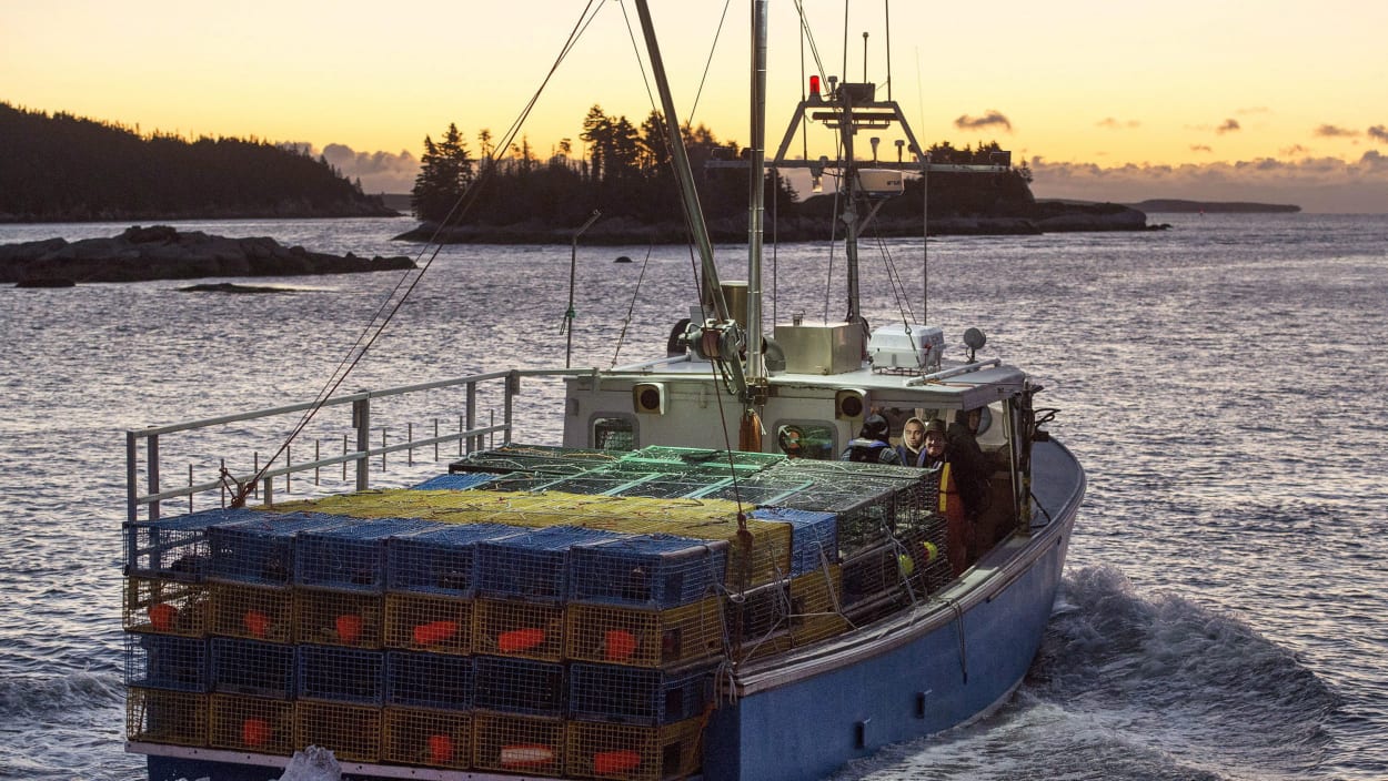 INDUSTRIE DES PÊCHES : Ottawa veut protéger l’indépendance des pêcheurs côtiers