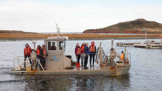 Les étudiants du campus des Îles participent aux recherches de Merinov