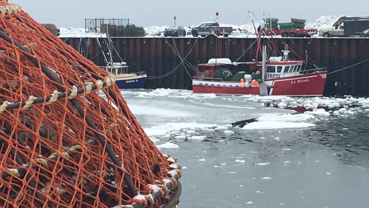 Pêche au crabe : une autre saison exceptionnelle cette année?