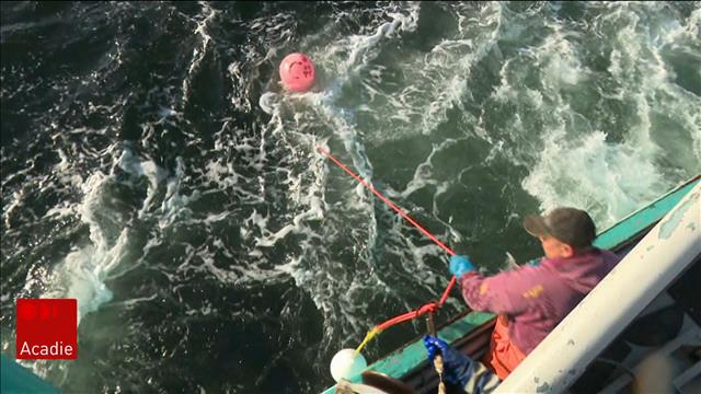 Des pêcheurs exaspérés par toutes les zones fermées