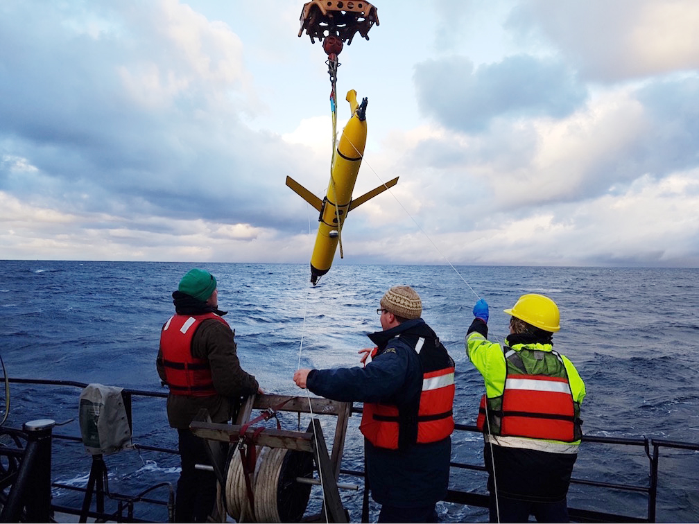 Des robots parmi les baleines