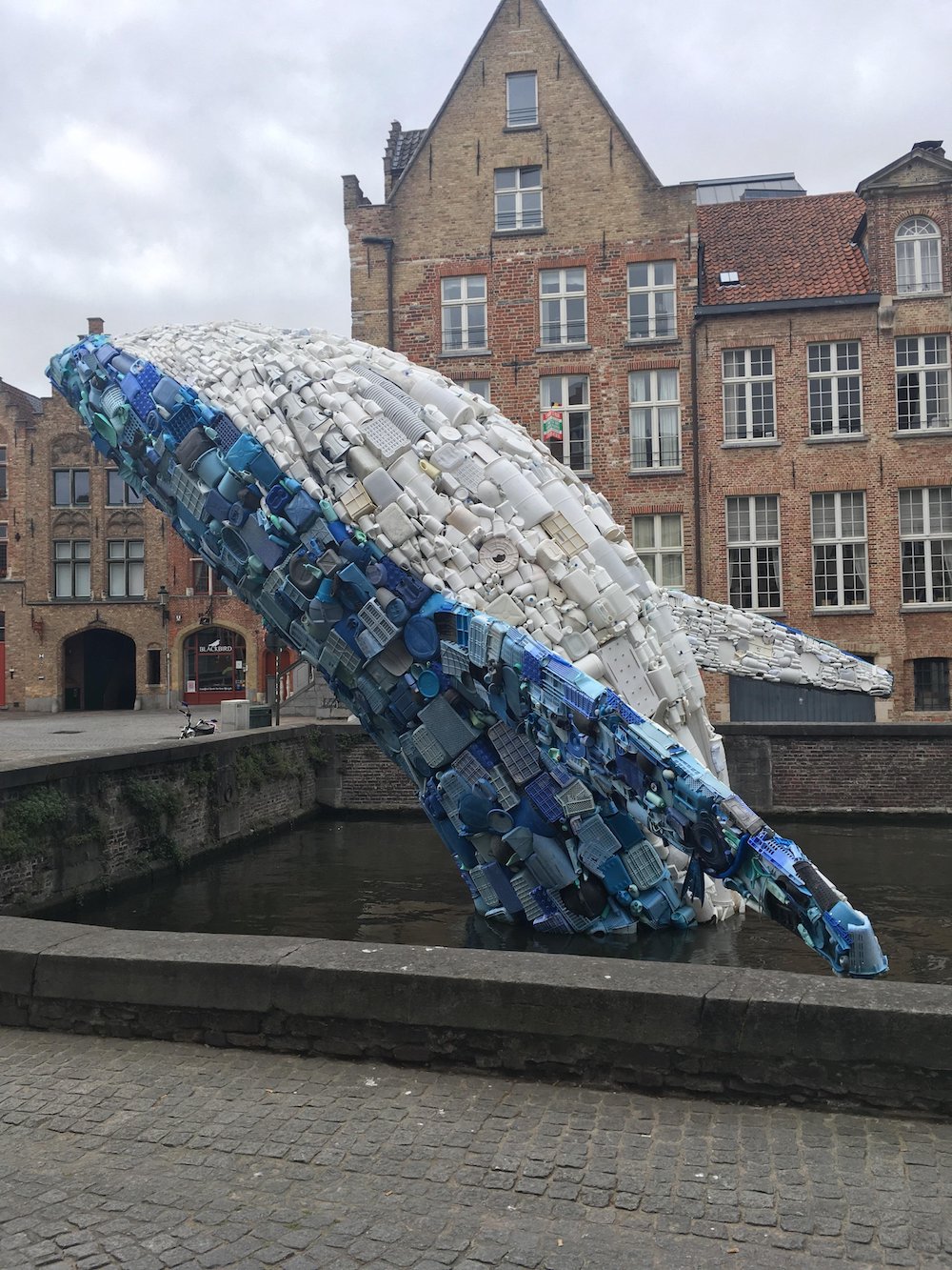 studiokca-baleine-geante-pollution-plastique
