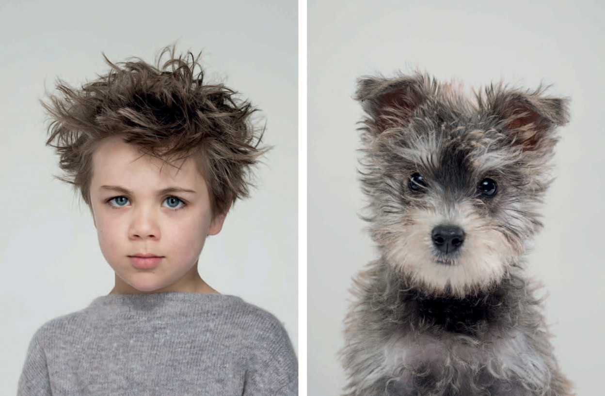 Resemblances entre les chiens et les humains capturés par Gerrard Gethings