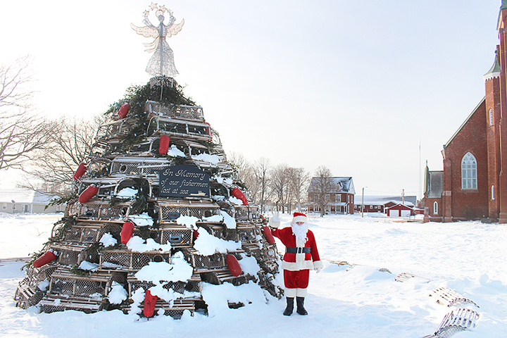 L’arbre de Tignish attire les foules