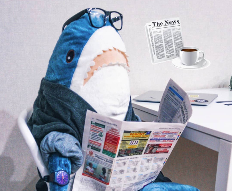 Les internautes s’emparent d’une peluche requin pour un concours photos sur Instagram