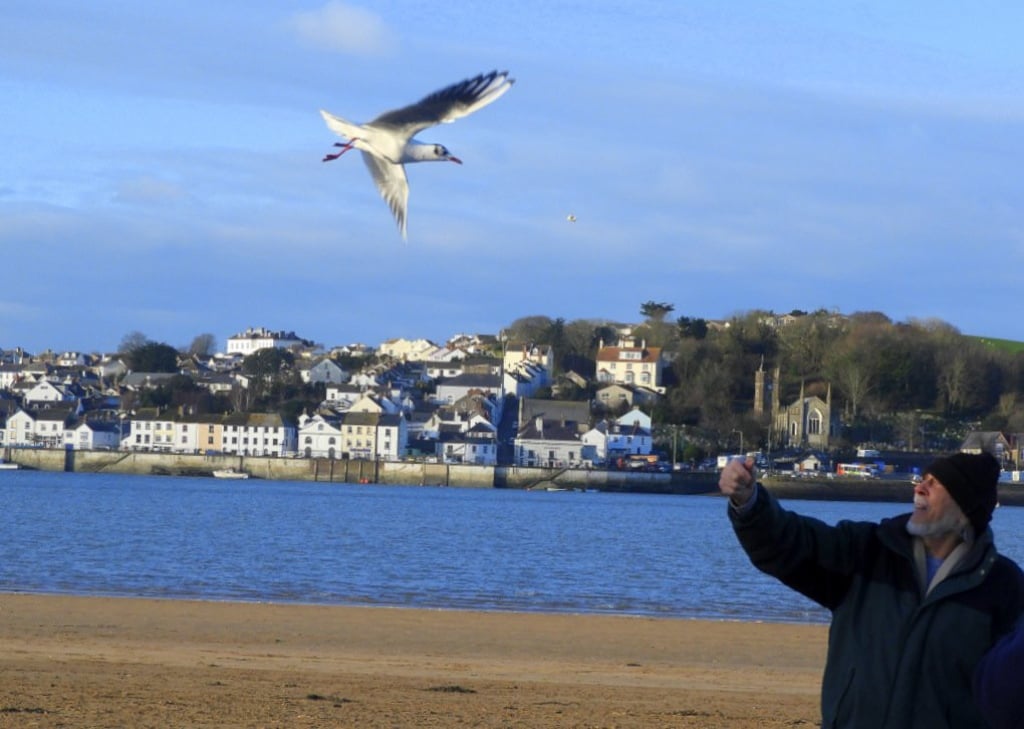 L’incroyable amitié entre un homme et une mouette