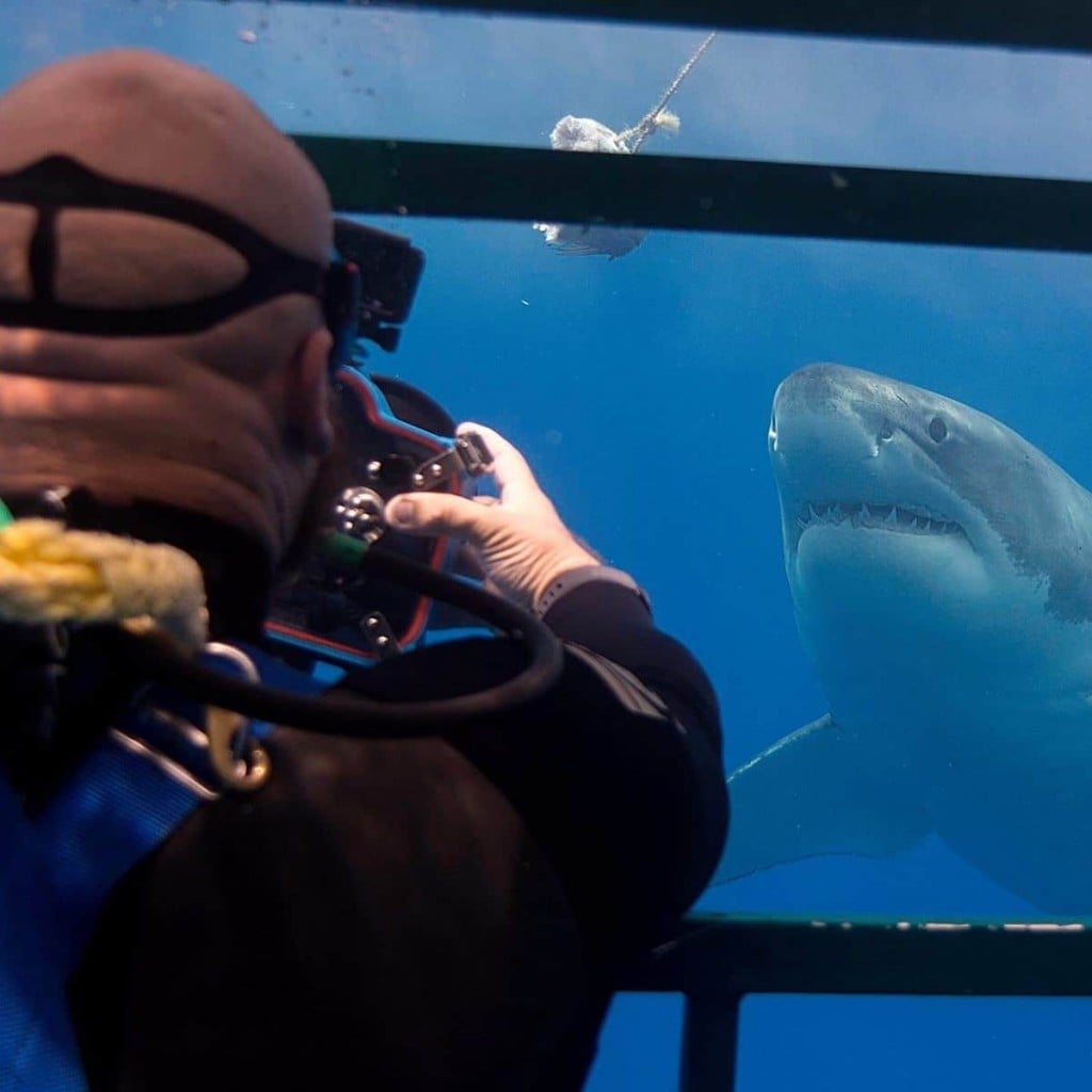 requin-photographie-dents-mer-euan-rannachan-2