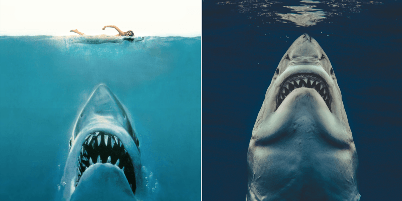 Un photographe reproduit l’affiche du film «Les Dents de la Mer»