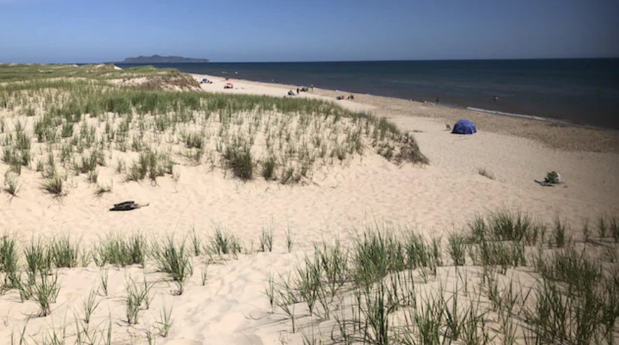 84 dunes restaurées en 3 ans aux Îles-de-la-Madeleine