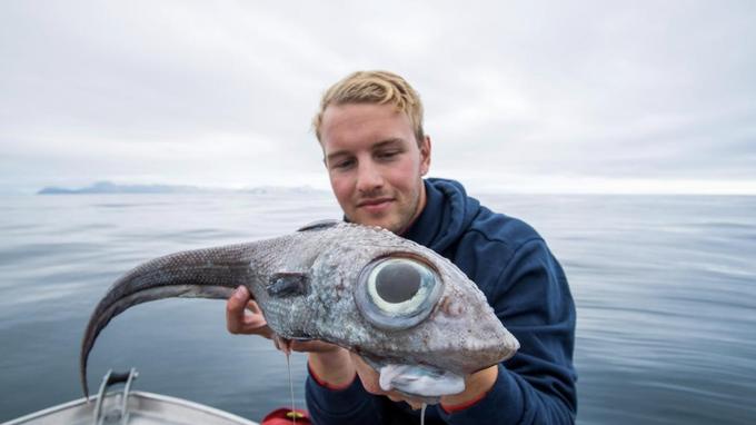 Un étrange poisson digne d’un dinosaure pêché au large de la Norvège