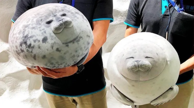 L’aquarium d’Osaka fait craquer internet avec ses phoques en peluche réalistes