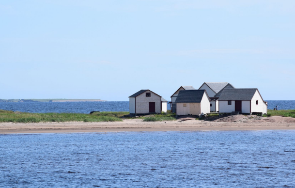 Dossiers environnementaux à surveiller au Québec : Protection du territoire