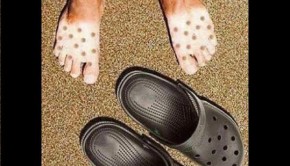 crocs-2
