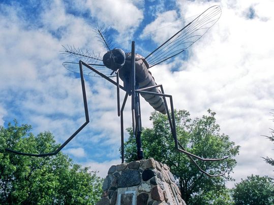 Niaiseries Acadiennes : Une statue de maringouin accueillera les touristes à l’Anse-à-la-Cabane