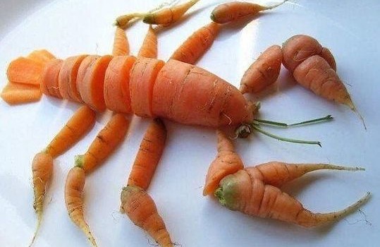 image-acadienne-homard-vegan-carotte
