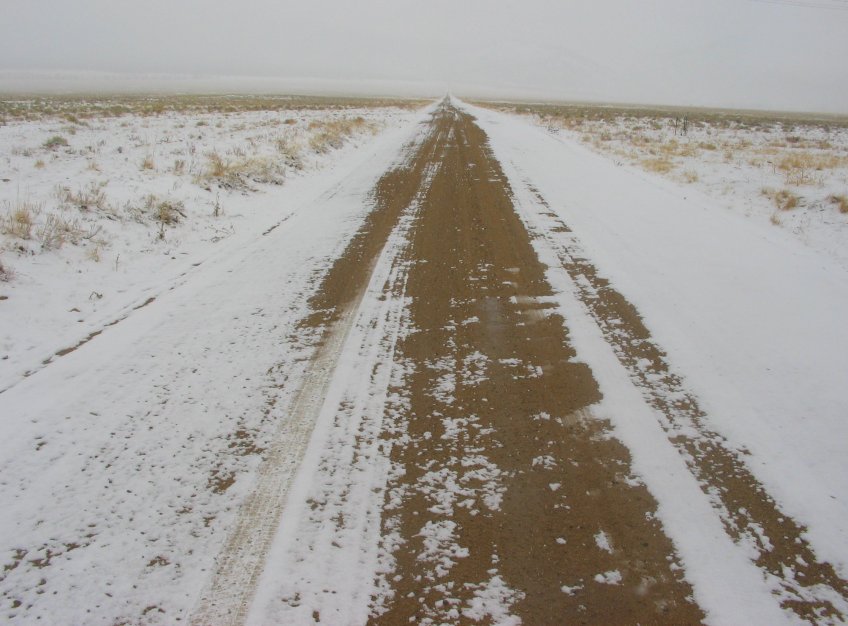 Niaiseries Acadiennes : Routes pleines d’excréments: Un déneigeur confond «sel» et «selle»