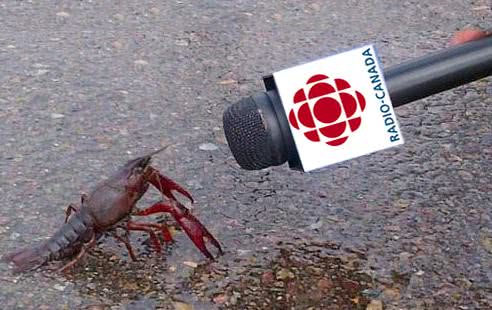 Niaiseries Acadiennes : Les homards sont «tannés» de la tradition de la fête des pères!