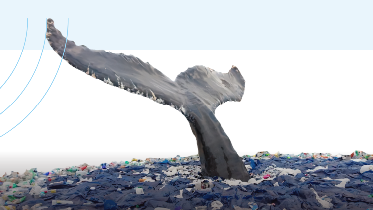 Mois de l’eau 2020: du plastique flottant jusqu’aux baleines