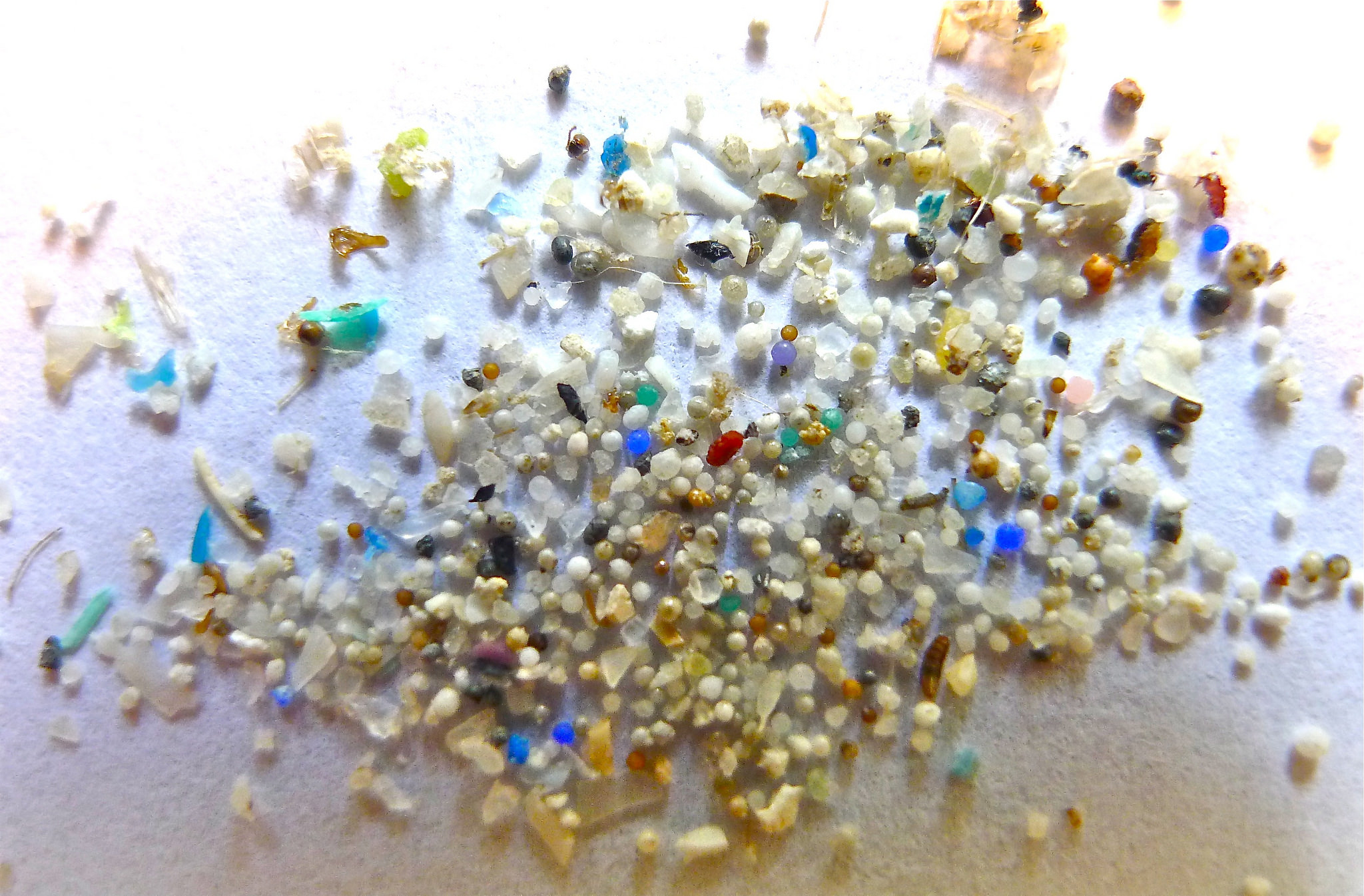 oregon_state_university_microplastic-1