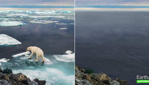 faceapp-greepeace-isobar-russie-earthapp-futur-terre-1200x600
