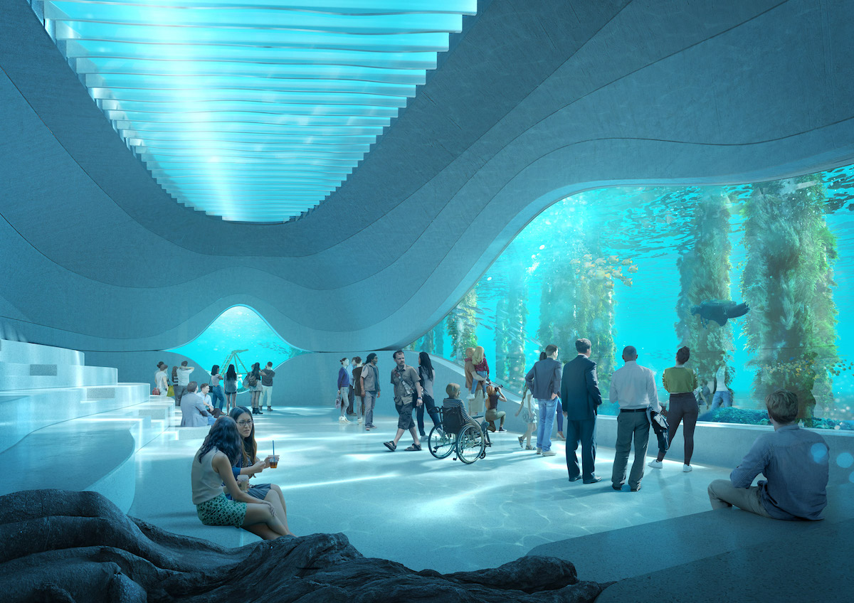 Le-Australian-underwater-discovery-Centre-un-batiment-en-forme-de-baleine-semi-immergee-3