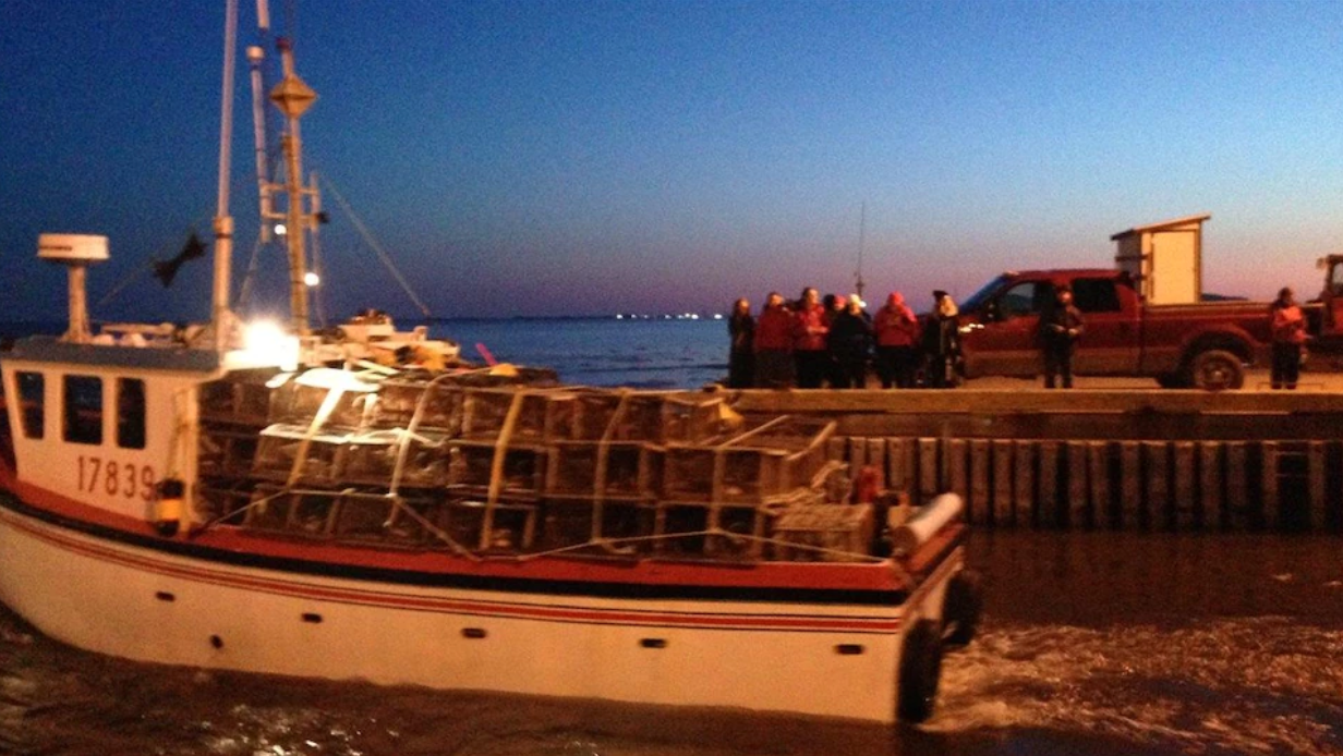 Capture d’écran, le 2021-05-18 à 20.35.46