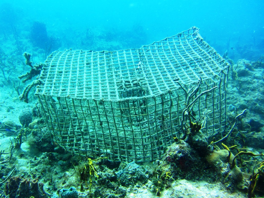 Underwater-Lobster-Trap