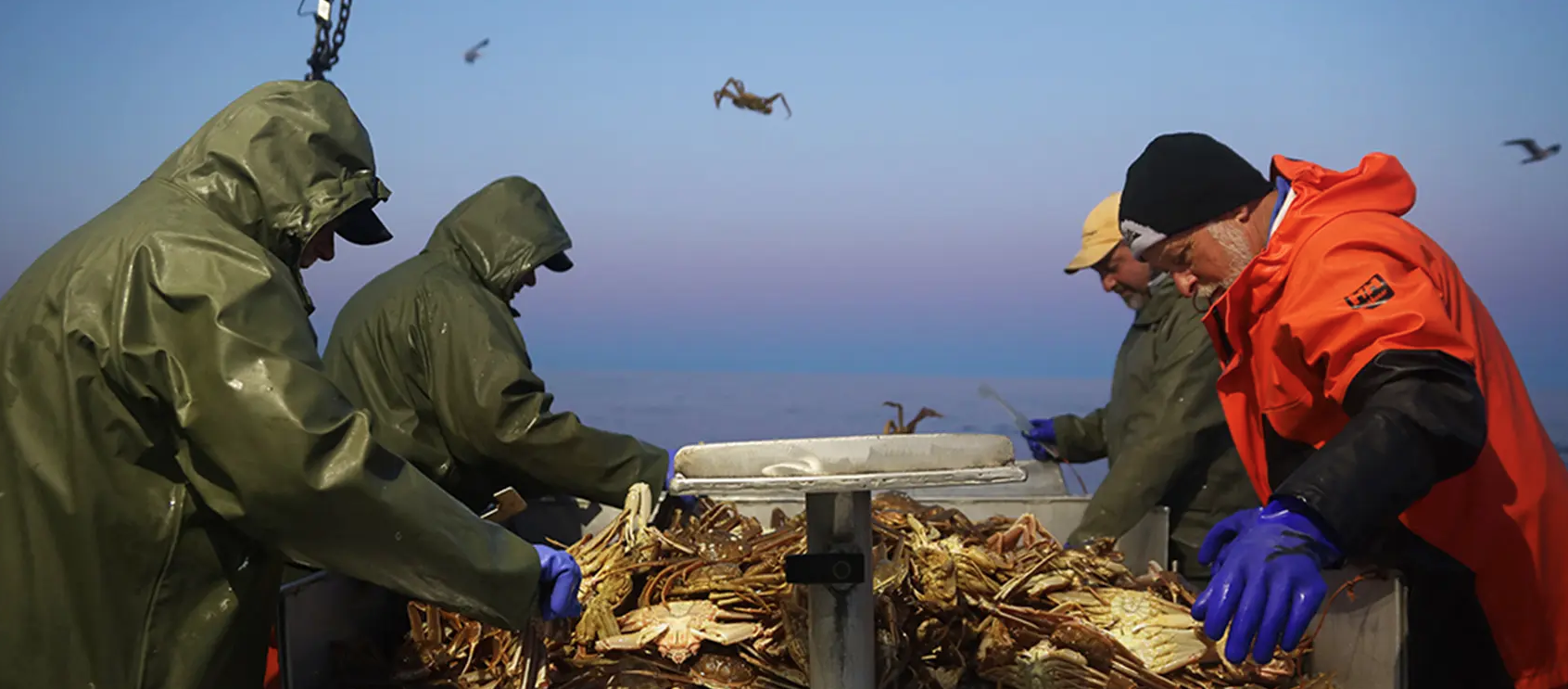 Au gré des marées : La pêche au crabe