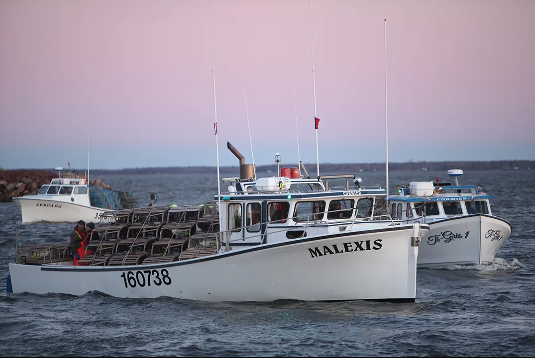 La pêche au homard