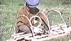 webtv_homard