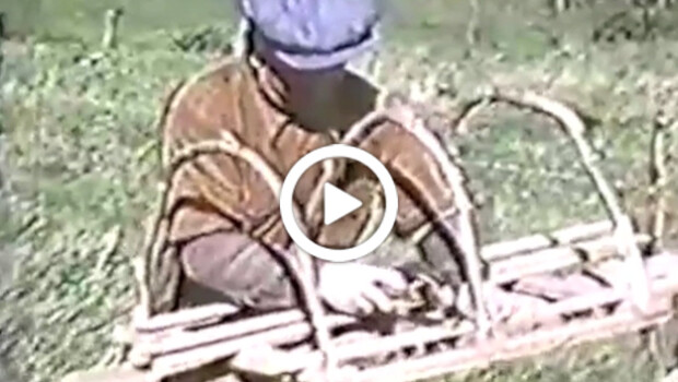 webtv_homard