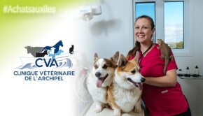 veterinaire-620x350