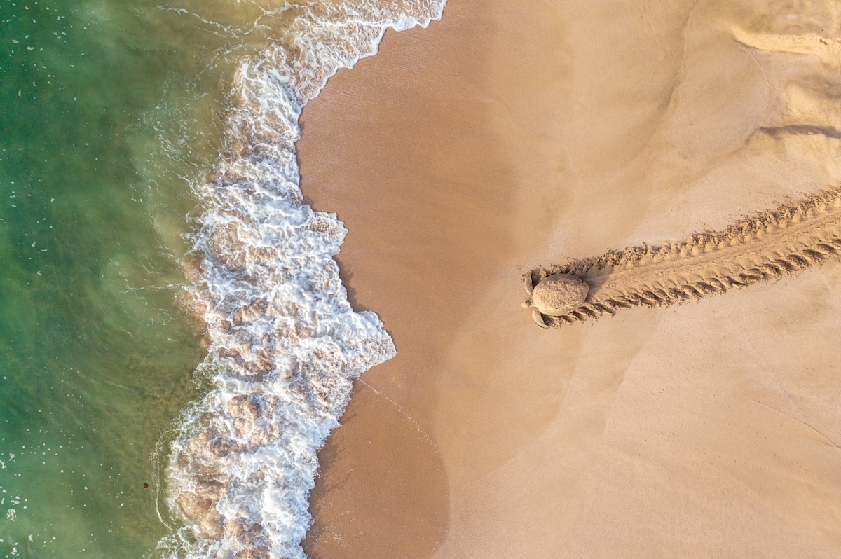 drone-photo-awards-2021-6