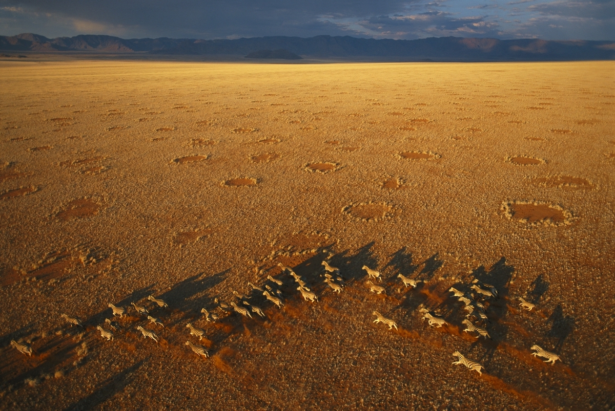 drone-photo-awards-2021-9