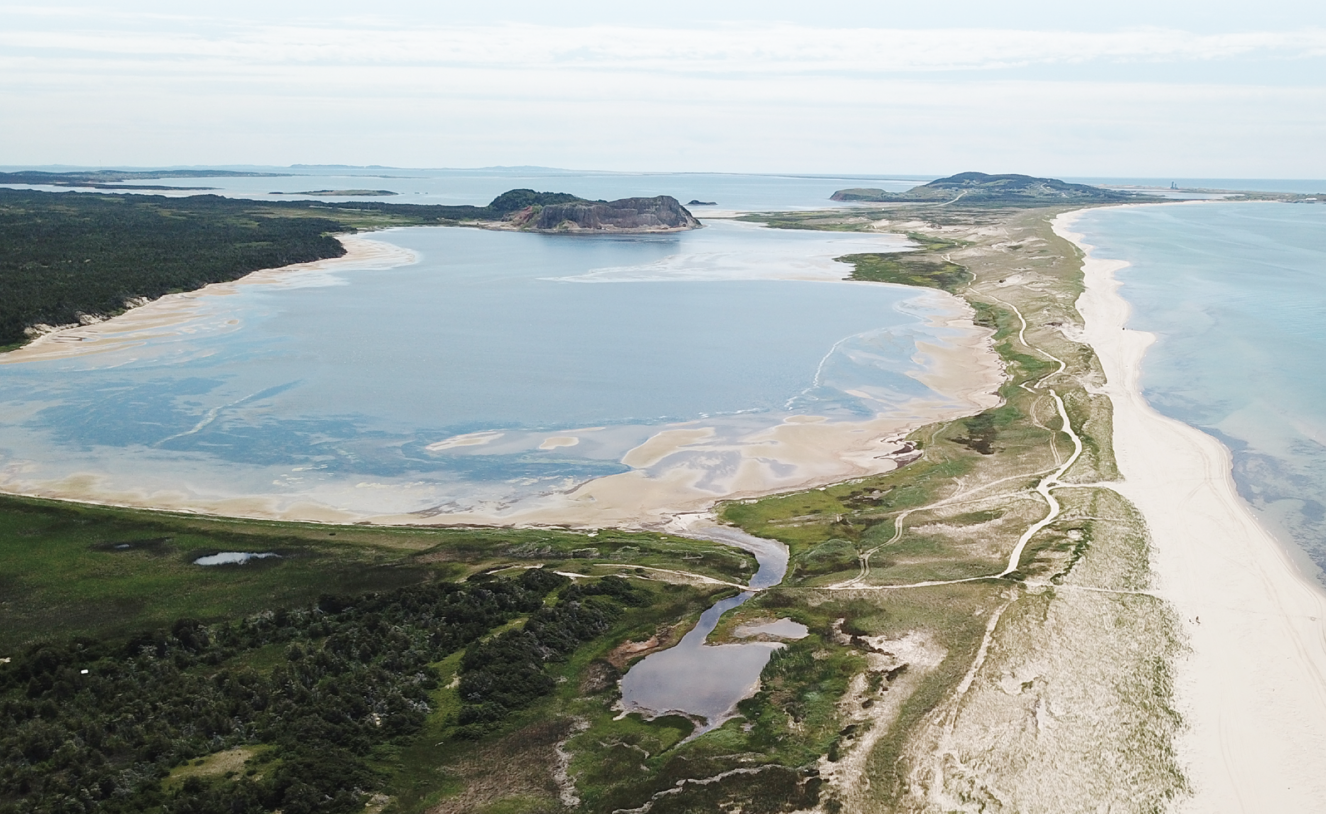 Prendre soin de nos milieux naturels?  Une nécessité?