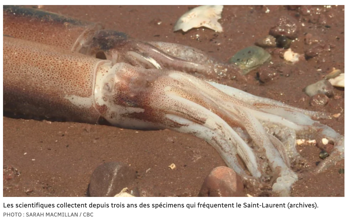 Capture d’écran, le 2022-01-27 à 16.50.59