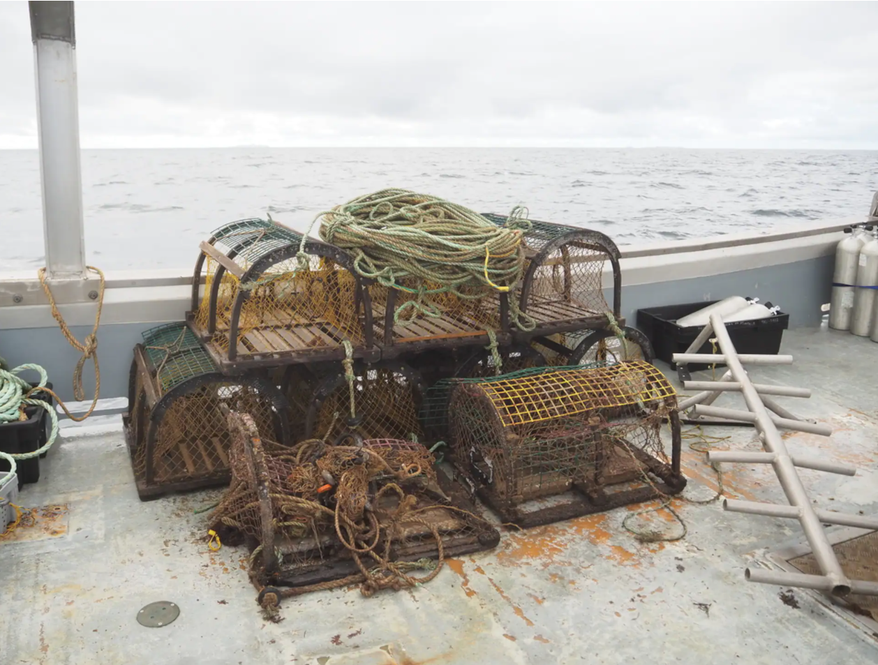 À la recherche des engins de pêche fantômes