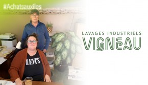 lavages