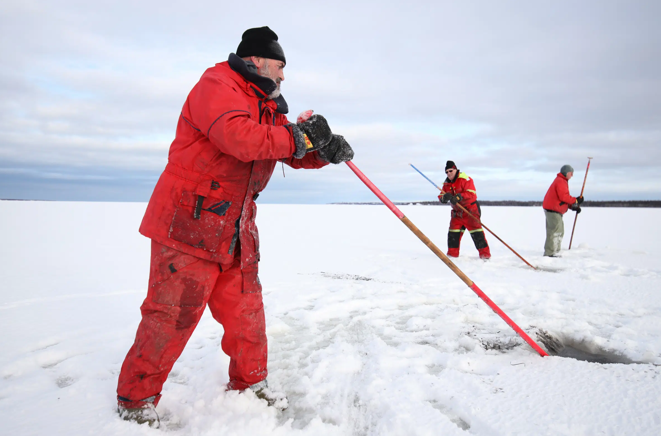 Il y a anguille sous glace