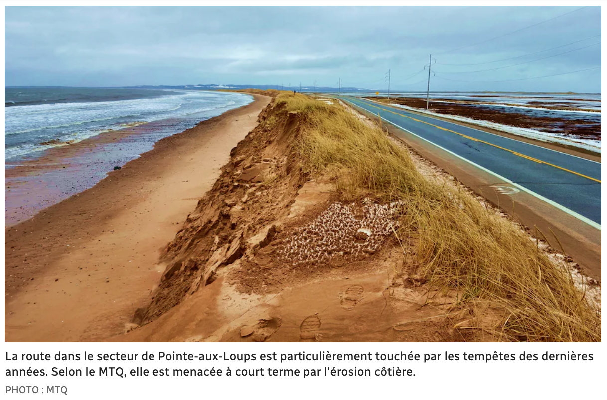 Capture d’écran, le 2022-03-10 à 19.31.24