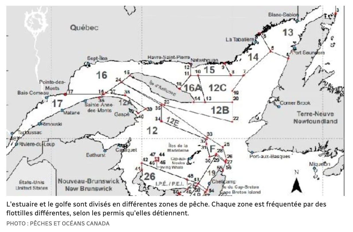 Capture d’écran, le 2022-03-25 à 08.48.59