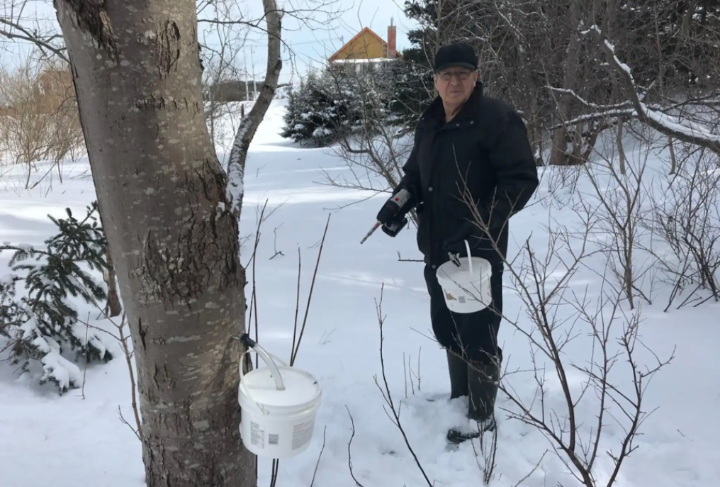 Un temps des sucres minimaliste aux Îles-de-la-Madeleine