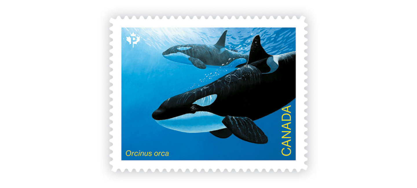 Whales-individual-inline-image1