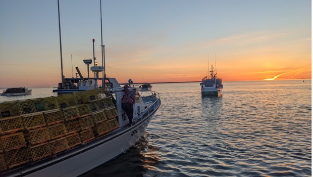 La saison de pêche au homard a enfin pris son envol, tôt mardi matin, dans le nord du Nouveau-Brunswick. -Acadie Nouvelle: David Caron. 3 mai 2022