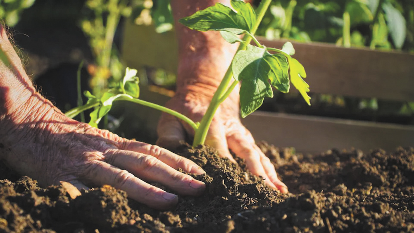 Le jardinage… c’est bon pour la santé!