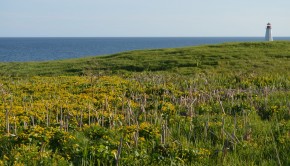 DSC_0228-2048x1356