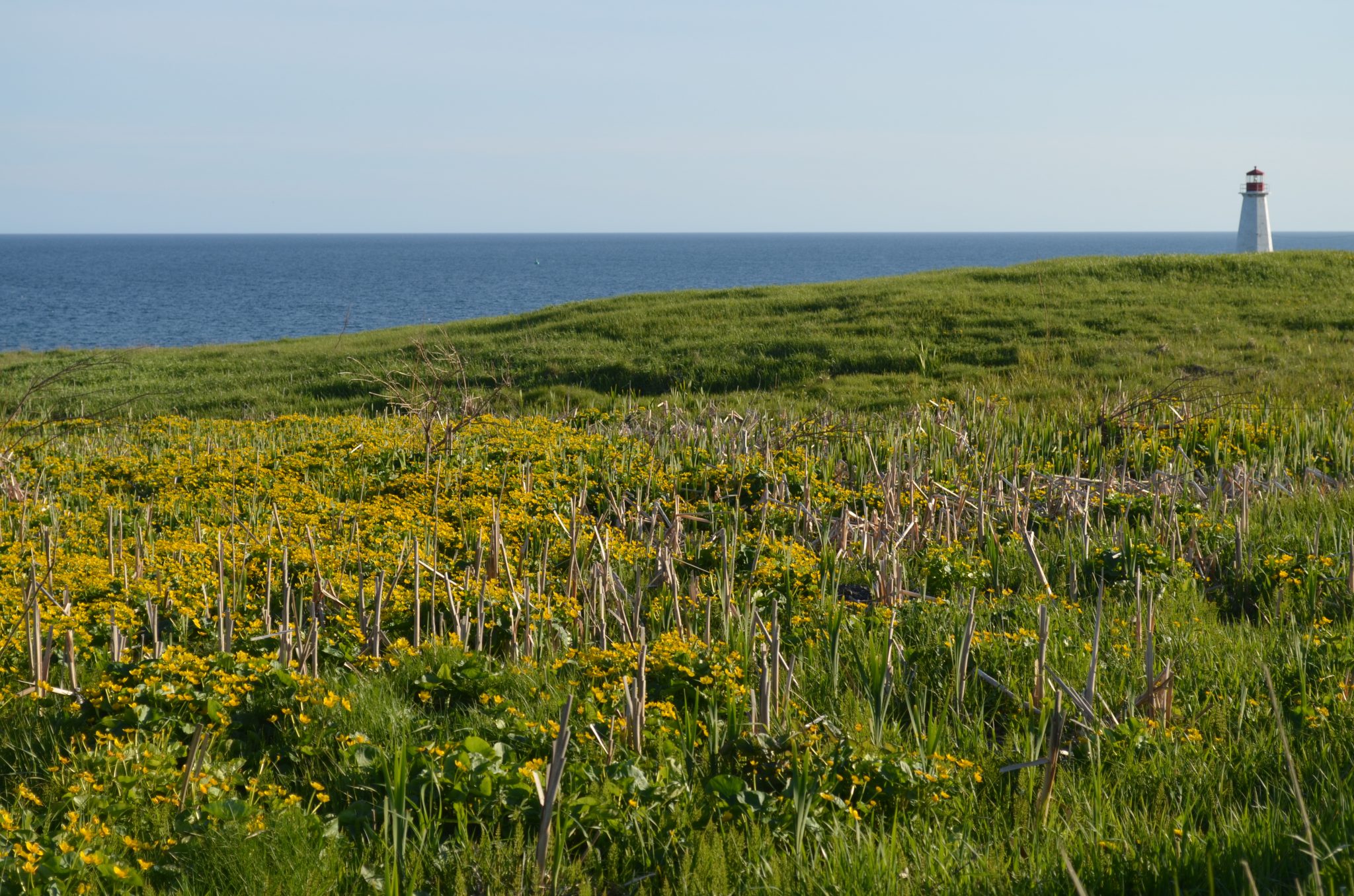 DSC_0228-2048x1356