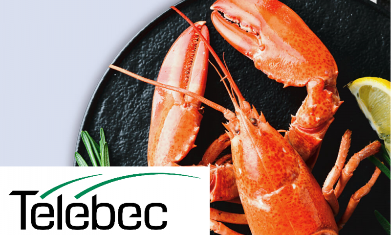 Souper de homard de la Chambre présenté par Télébec