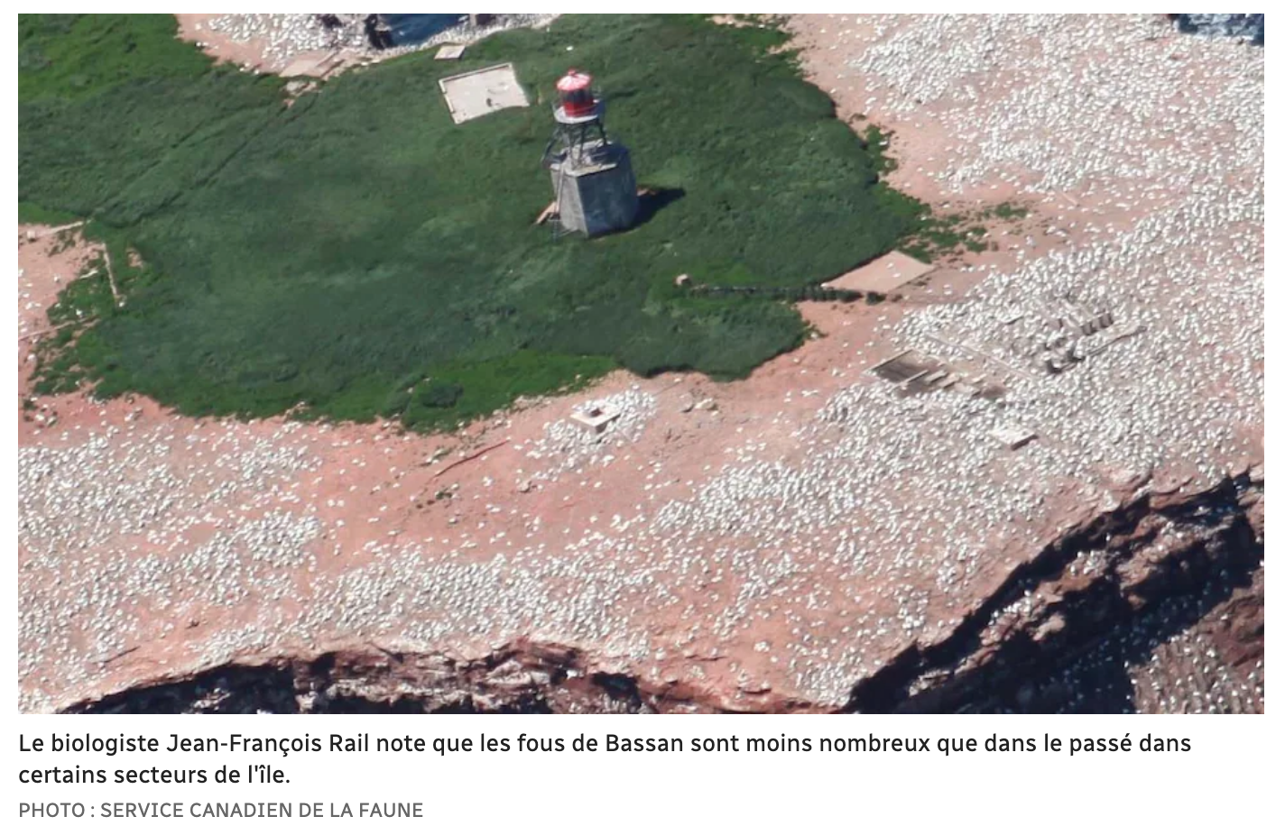 Capture d’écran, le 2022-07-20 à 08.23.16