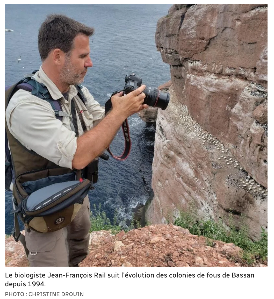 Capture d’écran, le 2022-07-20 à 08.24.44